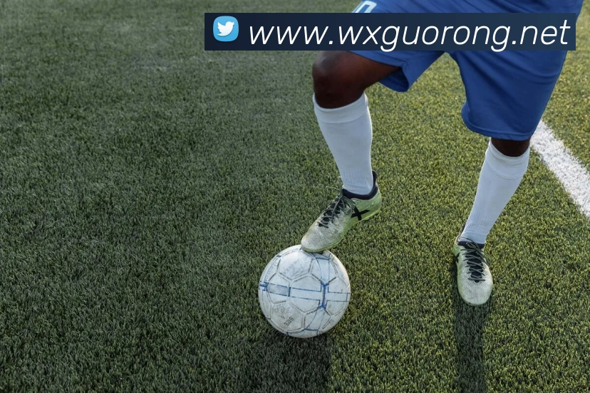 App 示例图
